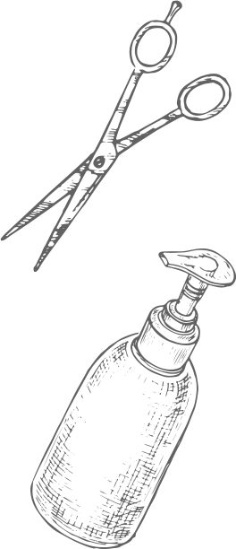 Salon Info Salon Info